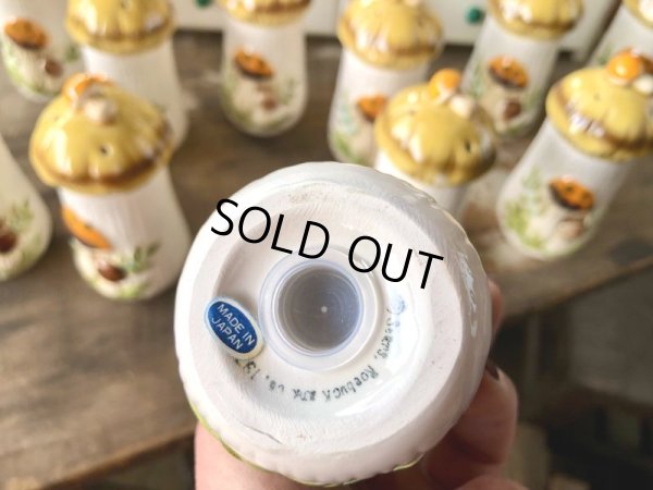 画像25: 70s Vintage Sears Merry Mushrooms kitchen Coordinates Spice Rack N.O.S (M388)