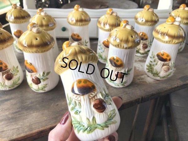 画像24: 70s Vintage Sears Merry Mushrooms kitchen Coordinates Spice Rack N.O.S (M388)