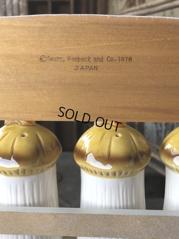 画像7: 70s Vintage Sears Merry Mushrooms kitchen Coordinates Spice Rack N.O.S (M388)