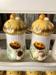 画像26: 70s Vintage Sears Merry Mushrooms kitchen Coordinates Spice Rack N.O.S (M388)