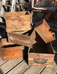 画像15: Vintage Advertising Wooden Crates Wood Box / COTT BEVERAGES (M453)