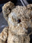 画像11: Vintage Teddy Bear 32cm (M488) (11)
