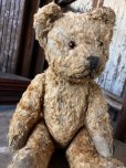 画像6: Vintage Teddy Bear 32cm (M488)