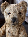 画像9: Vintage Teddy Bear 32cm (M488)