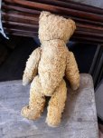 画像14: Vintage Teddy Bear 32cm (M488)