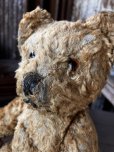 画像10: Vintage Teddy Bear 32cm (M488)