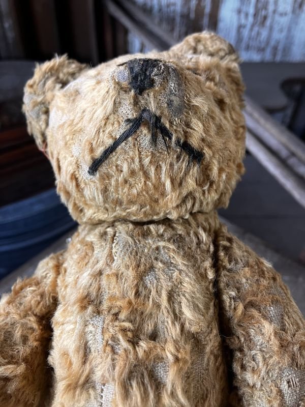 画像8: Vintage Teddy Bear 32cm (M488)