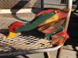 画像8: Vintage Wooden Walking Bird Runner Push Toddler Toy (M489)