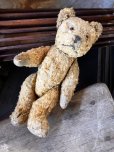 画像13: Vintage Teddy Bear 32cm (M488) (13)