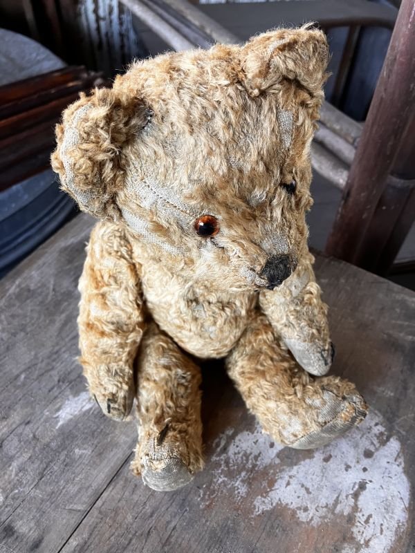 画像5: Vintage Teddy Bear 32cm (M488)