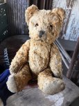 画像16: Vintage Teddy Bear 32cm (M488) (16)