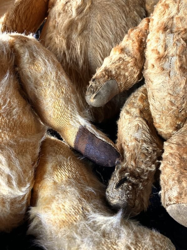 画像20: Vintage Teddy Bear 32cm (M488)