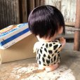 画像3: 60s Vintage Enco Japan Cave Man Ugly Brat Doll N.O.S (M542)