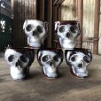 画像9: 50s Vintage SKULL " LAY OFF " Poison Decanter Bottle w/Shot Glass (B618)