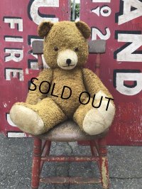 Vintage Teddy Bear Big Size (M696)