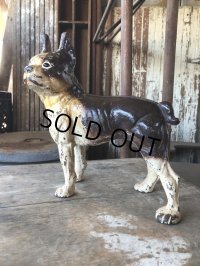Antique Cast Iron  Boston Terrier Doorstop Statue (M820)
