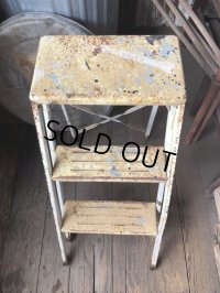 Vintage Industrial Metal Folding Ladder Step Stool (M861)