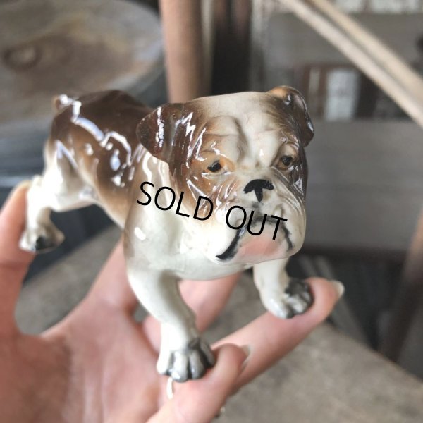 画像10: Vintage Ceramic Bulldog (B866) 