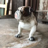 Vintage Ceramic Bulldog (B866) 