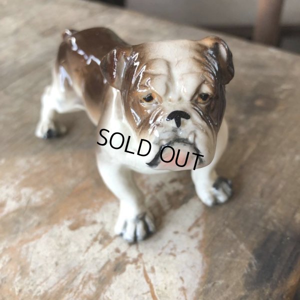 画像6: Vintage Ceramic Bulldog (B866) 