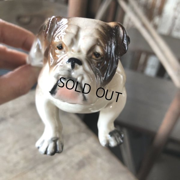 画像11: Vintage Ceramic Bulldog (B866) 