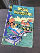 80s Vintage WHITMAN Comic Woody Woodpecker (R108) 