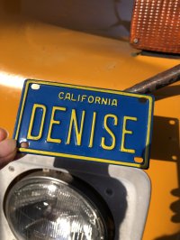 70s Vintage California Kids Bicycle Name License Plate / DENISE (R327) 