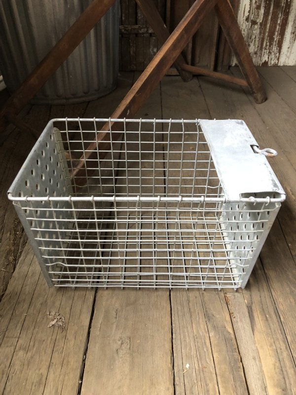 画像6: Vintage USA Industrial Metal Wire # Locker Basket GB-274 (R334)