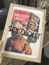 60s Vintage Comic THE TRUE STORY OF SMOKEY BEAR (R556)