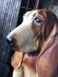 画像8: 60s Vintage Hush Puppies Brand Advertising Basset Hound Store Display Statue (R654)