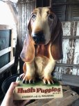 画像1: 60s Vintage Hush Puppies Brand Advertising Basset Hound Store Display Statue (R654) (1)