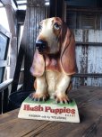 画像12: 60s Vintage Hush Puppies Brand Advertising Basset Hound Store Display Statue (R654)