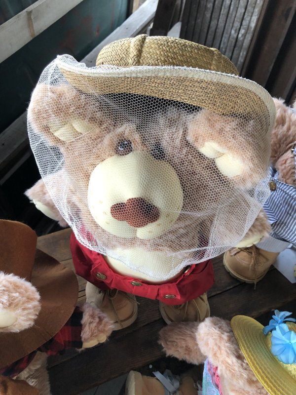 画像14: 80s Vintage Boone Furskin Bear Plush Doll Coleco (R770) 