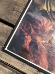 画像2: 70s Vintage Dole Hawaiian Pineapple juice Advertising Store Display Poster (R778) (2)