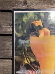 画像3: 70s Vintage Dole Hawaiian Pineapple juice Advertising Store Display Poster (R778)