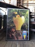 画像6: 70s Vintage Dole Hawaiian Pineapple juice Advertising Store Display Poster (R778)