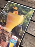 画像4: 70s Vintage Dole Hawaiian Pineapple juice Advertising Store Display Poster (R778)