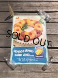 70s Vintage Dole Hawaiian Pineapple Advertising Store Display Poster (R774)