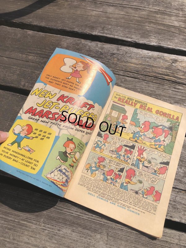 画像2: 60s Vintage DELL Comic Walter Lantze New Friends Woody Woodpecker (R803)