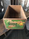 画像1: Vintage Wood Box Green Circle Mendocio Country Mountain Pears (R852) (1)
