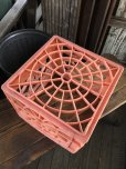 画像7: Vintage USA  DAIRY FOODS Heavy Duty Plastic Milk Crate Sealtest (W)  (7)