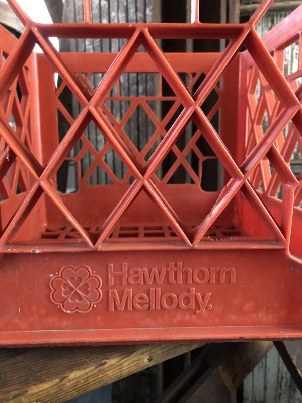 画像4: Vintage USA  DAIRY FOODS Heavy Duty Plastic Milk Crate Hawthorn Mellody (Y) 