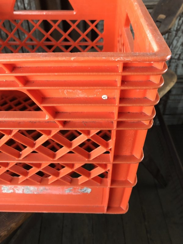 画像6: Vintage USA  DAIRY FOODS Heavy Duty Plastic Milk Crate Reiter (S) 