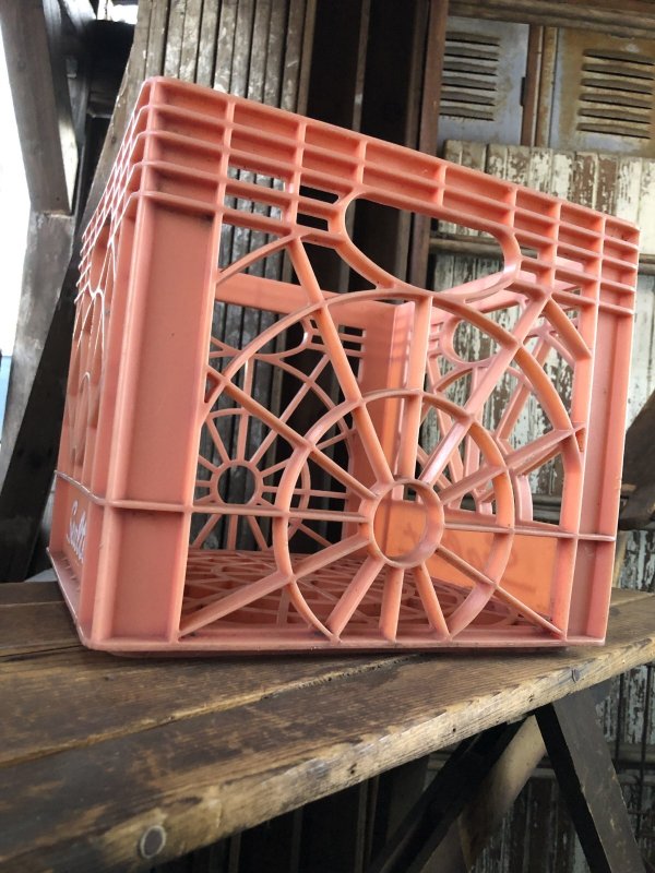 画像5: Vintage USA  DAIRY FOODS Heavy Duty Plastic Milk Crate Sealtest (W) 