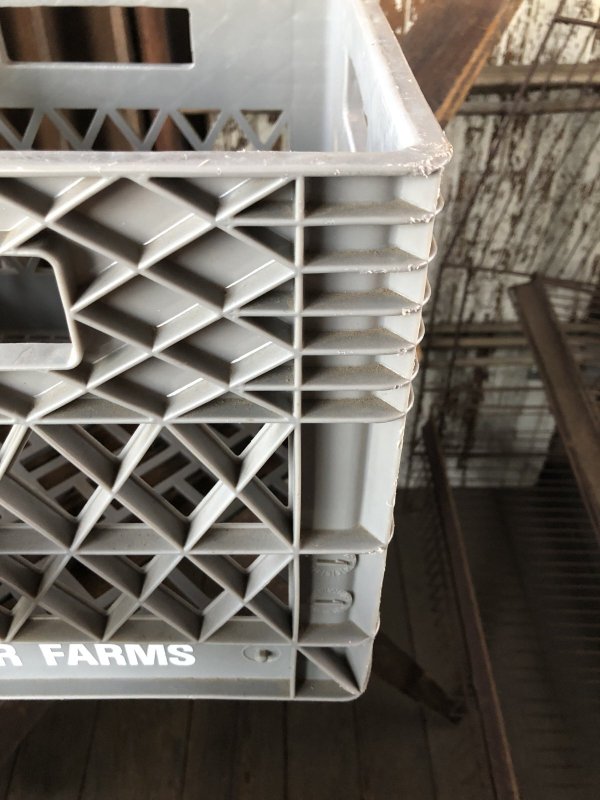 画像8: Vintage USA  DAIRY FOODS Heavy Duty Plastic Milk Crate FOSTER FARMS (P) 