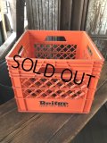 Vintage USA  DAIRY FOODS Heavy Duty Plastic Milk Crate Reiter (S) 