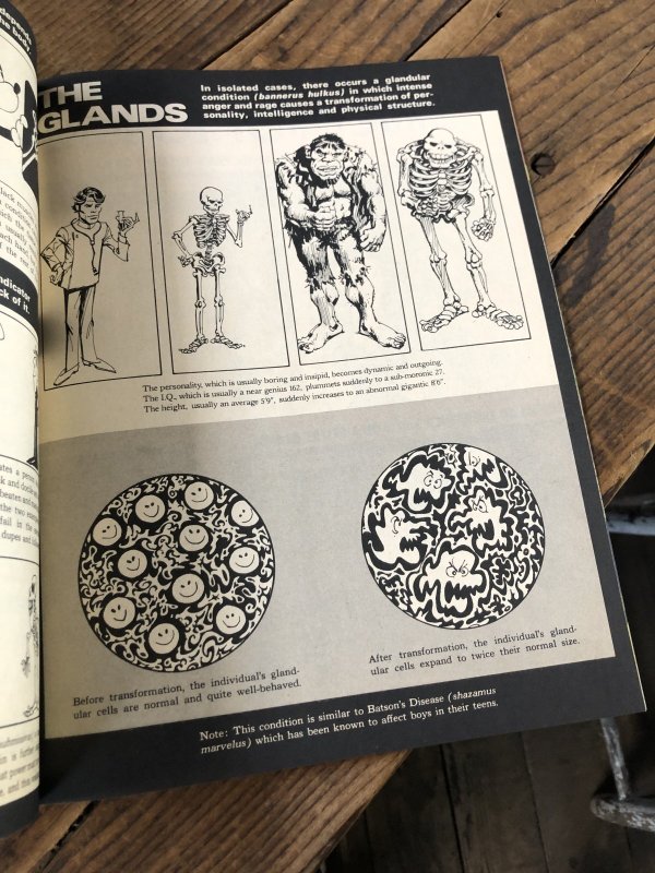 画像13: 1983 Vintage MAD Magazine No.236 Jan '83 (A257)