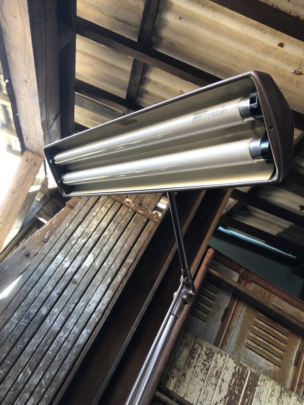 画像16: Vintage Dazor Floating Fixture Drafting Industrial Work Lamp (A288)