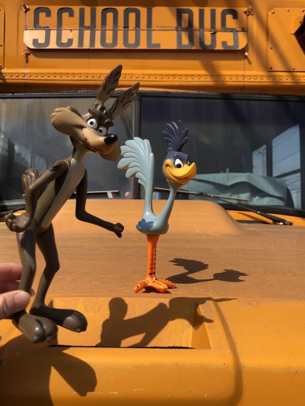画像13: ntage R.Dakin Looney Tunes Road Runner and WILE E.COYOTE Figures (A360)