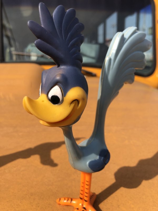 画像10: ntage R.Dakin Looney Tunes Road Runner and WILE E.COYOTE Figures (A360)